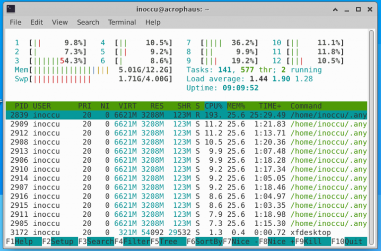 WSL2 GUI WSLg Artisan Edge Thinking 
